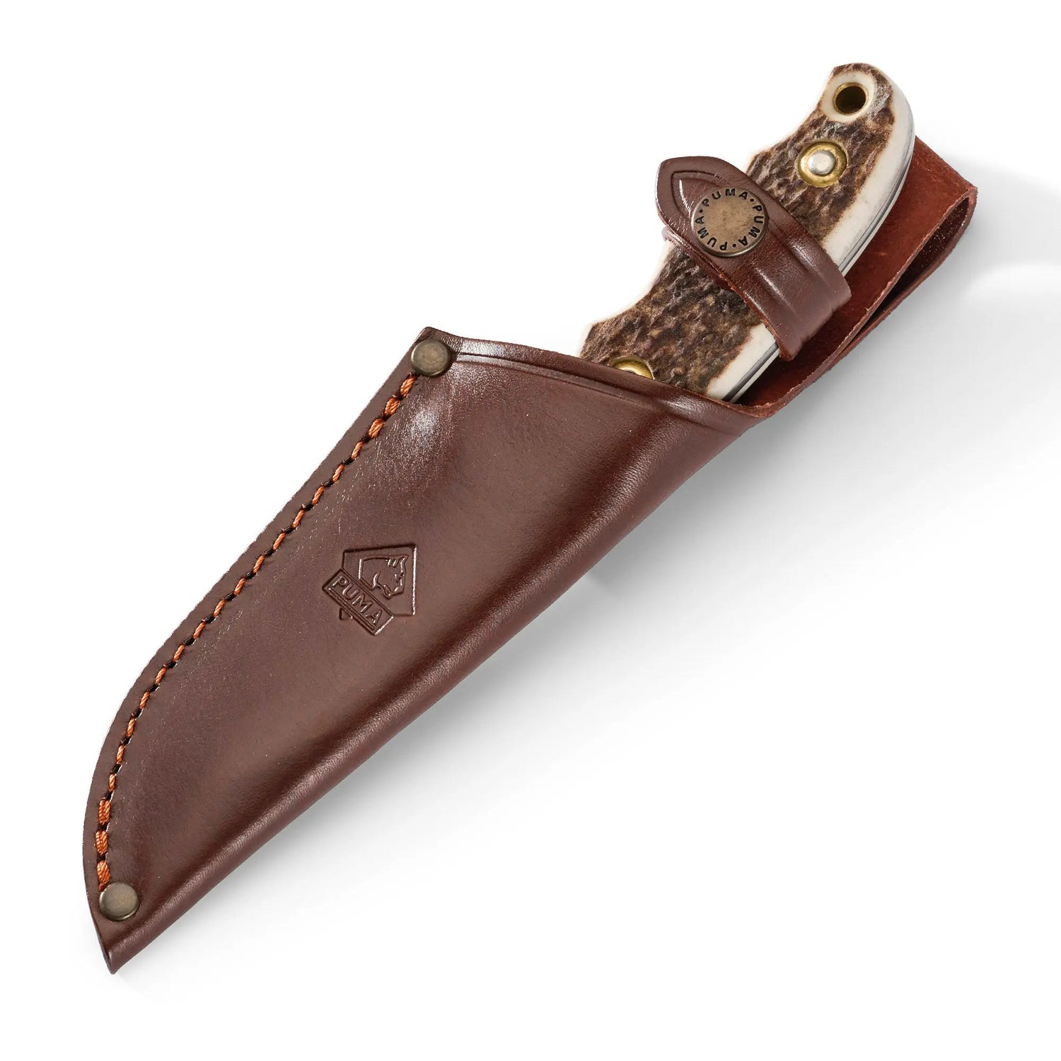 PUMA saubart, FAOS-Edition