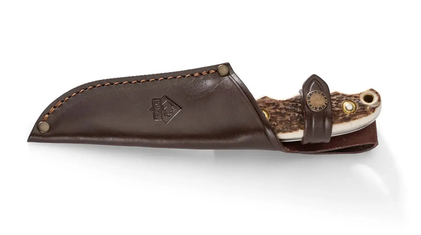 PUMA saubart, Hirschhorn