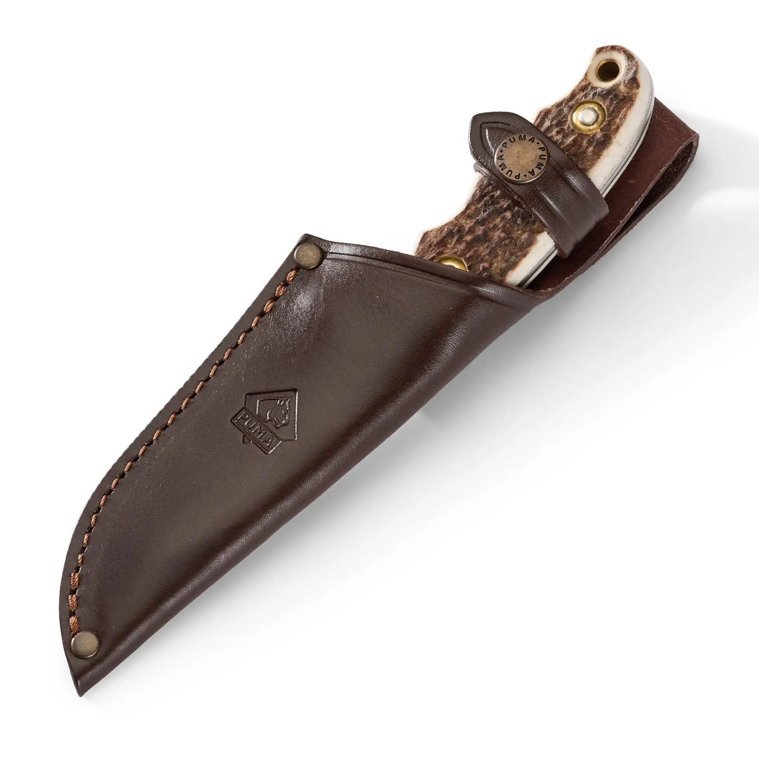 PUMA saubart, Hirschhorn