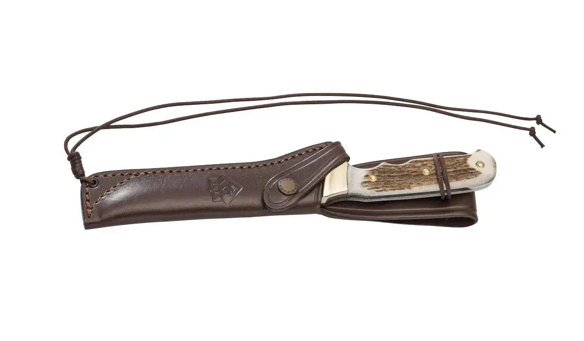 PUMA wildtöter, stag