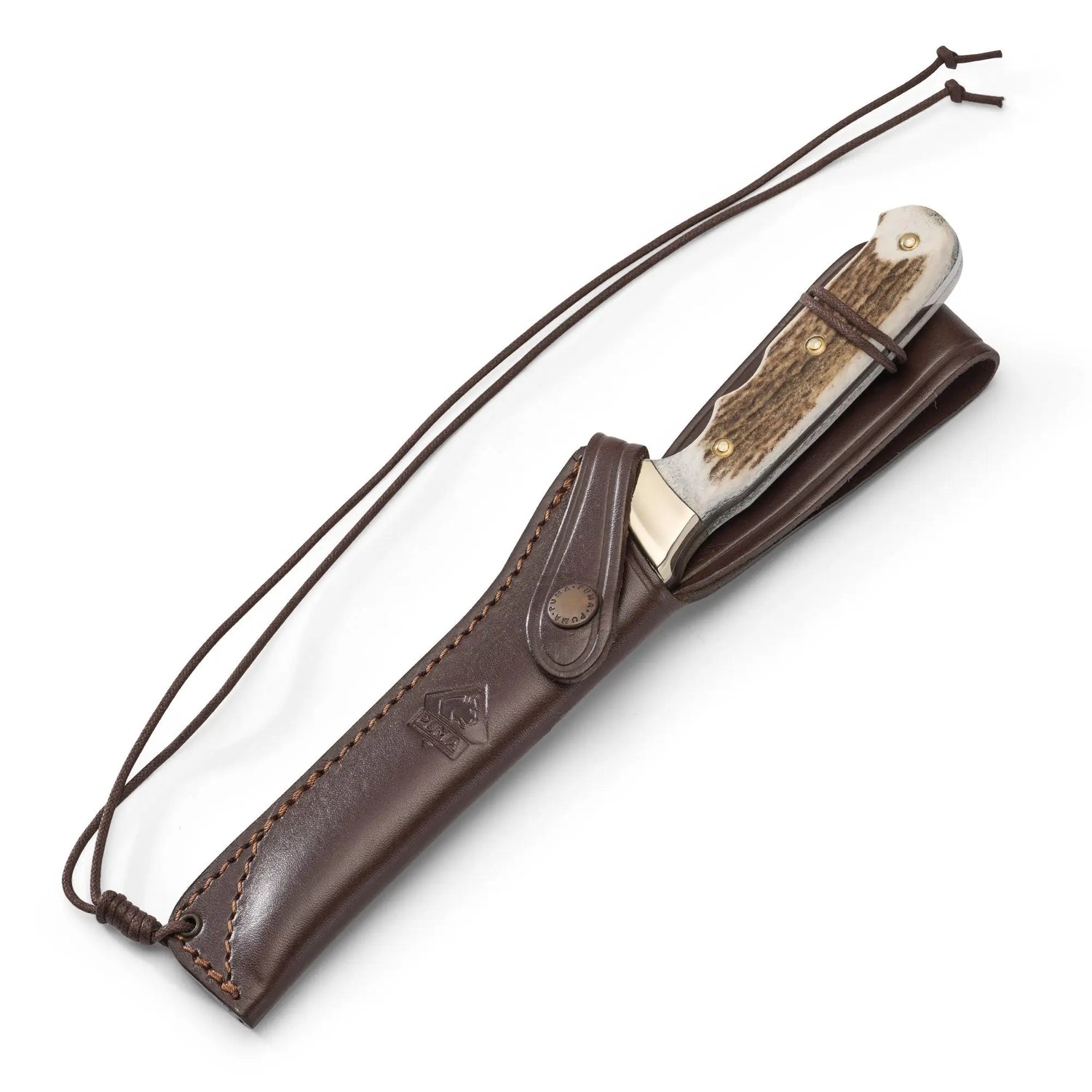 PUMA wildtöter, stag