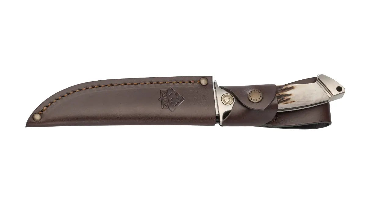 PUMA cougar, Hirschhorn