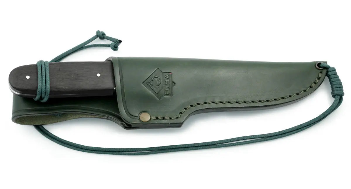 PUMA faun, mooreiche