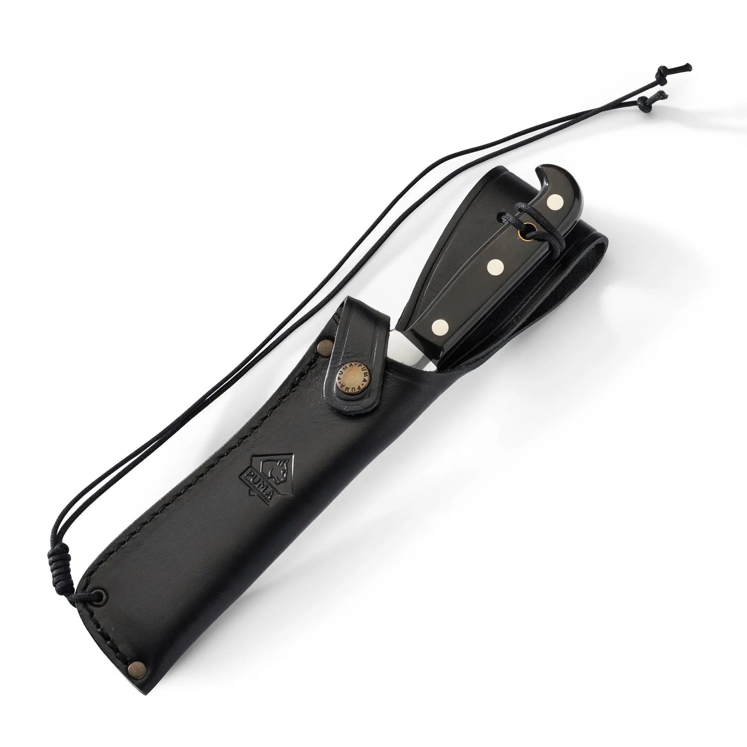 PUMA white hunter, buffalo horn