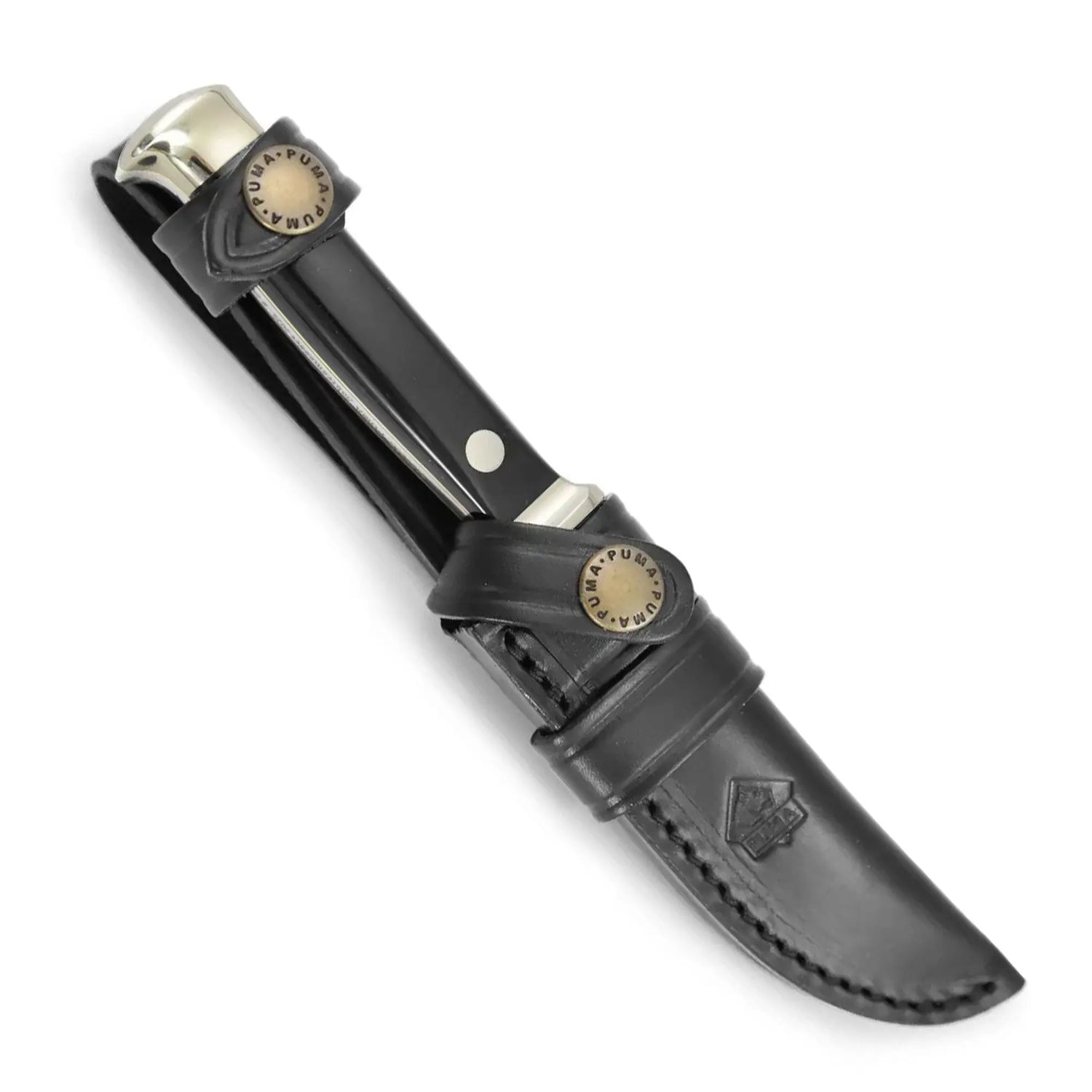 PUMA Jahresmesser 2025 Büffelhorn