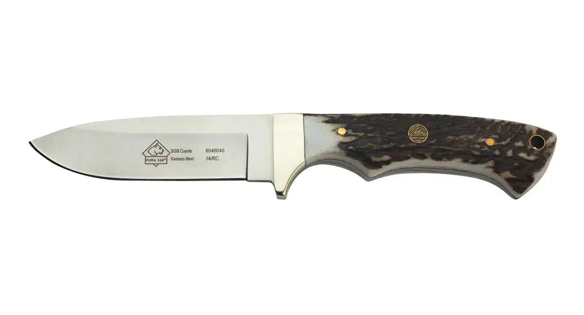 PUMA SGB coyote, stag