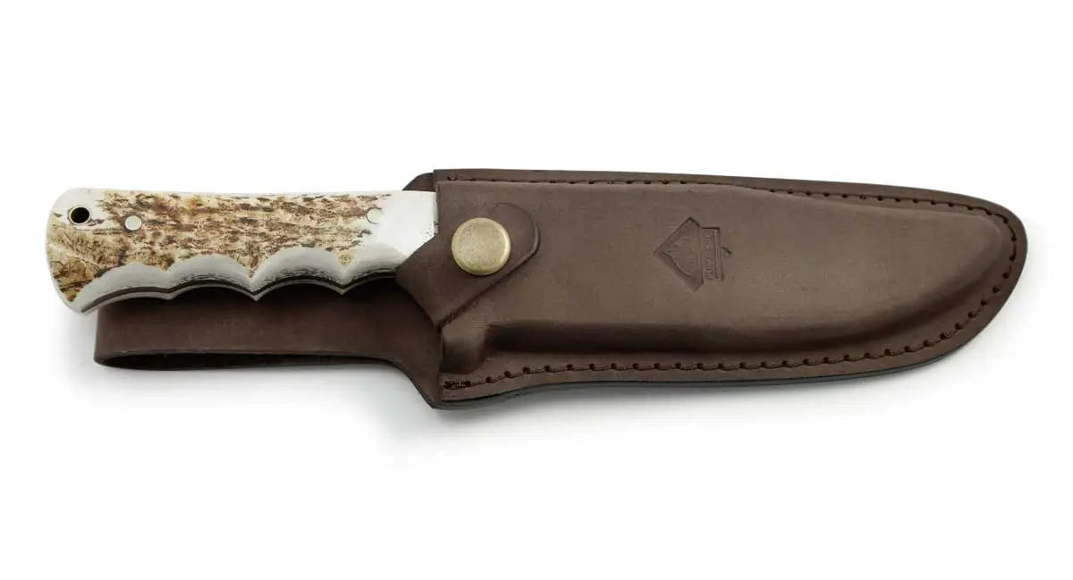 PUMA SGB big bear bowie, Hirschhorn