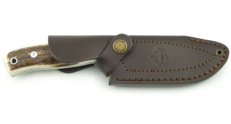PUMA IP cervato, stag