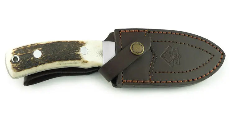 PUMA IP schwarzwild, stag (Verleihung Goldener Keiler 2012)