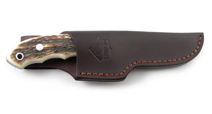 PUMA IP ebro, stag