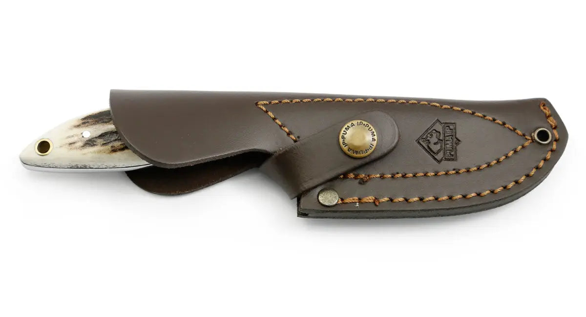 PUMA IP farkas, Hirschhorn