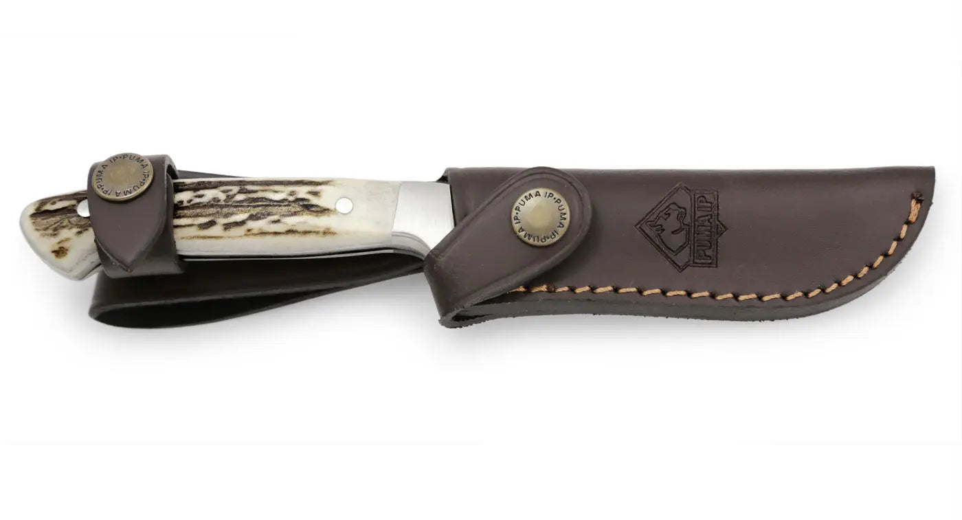 Jagdmesser, Outdoormesser, PUMA IP pal 240, Hirschhorn