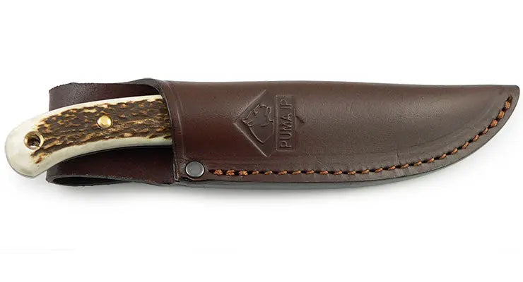 PUMA IP catamount, stag