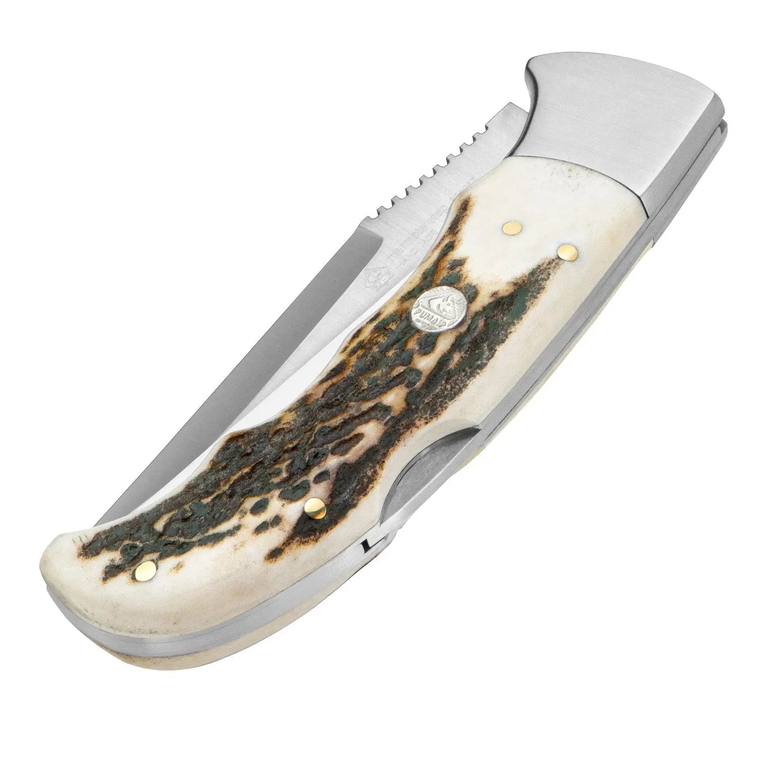PUMA IP marmota, stag