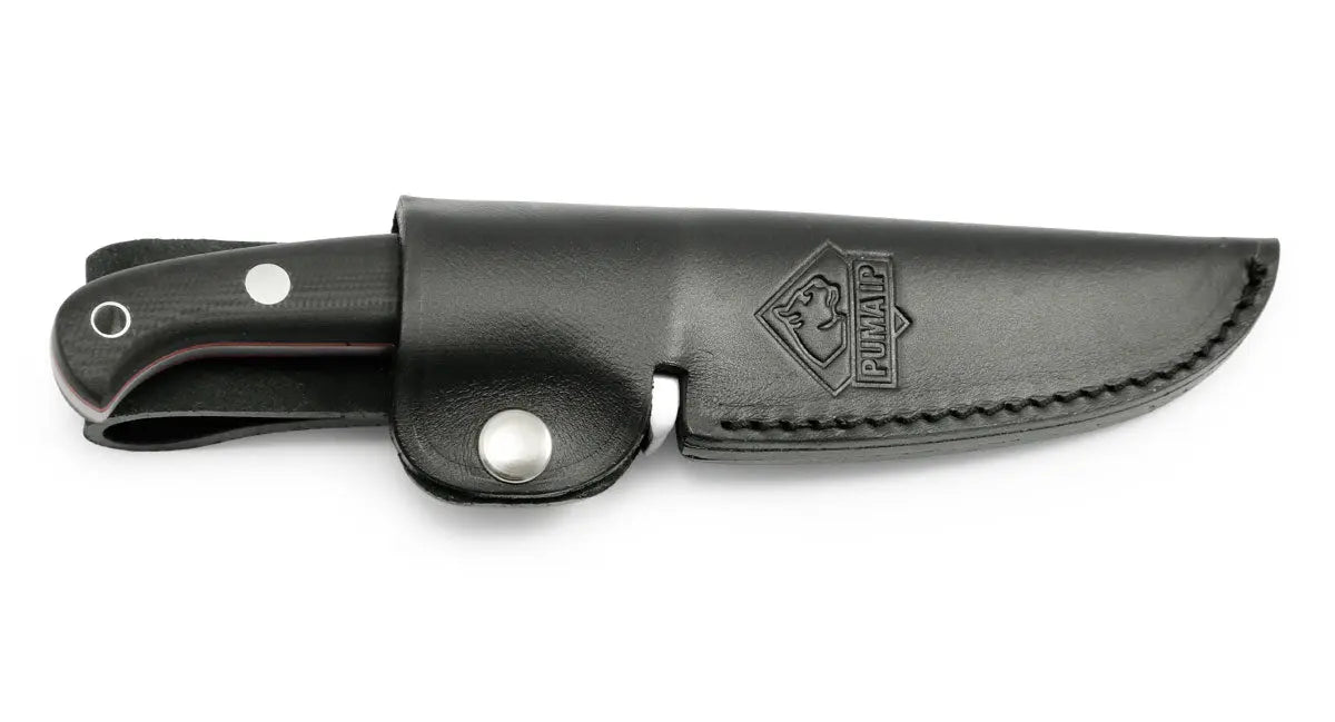 (Nicht mehr lieferbar) PUMA IP canis G10