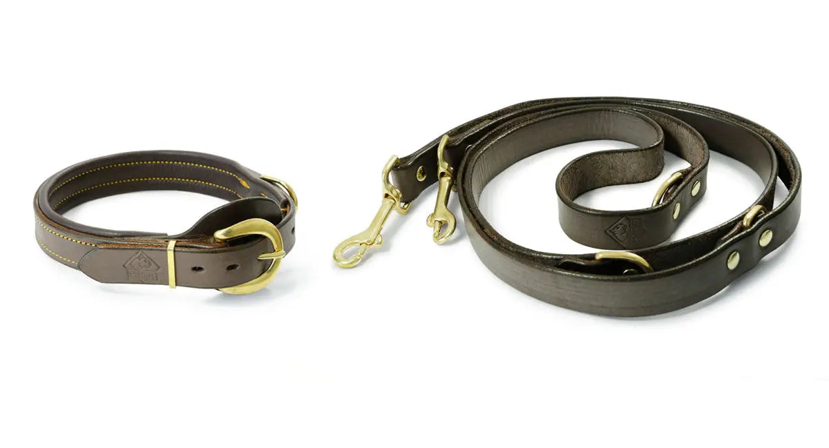 PUMA Leder- Hundehalsband + Leine