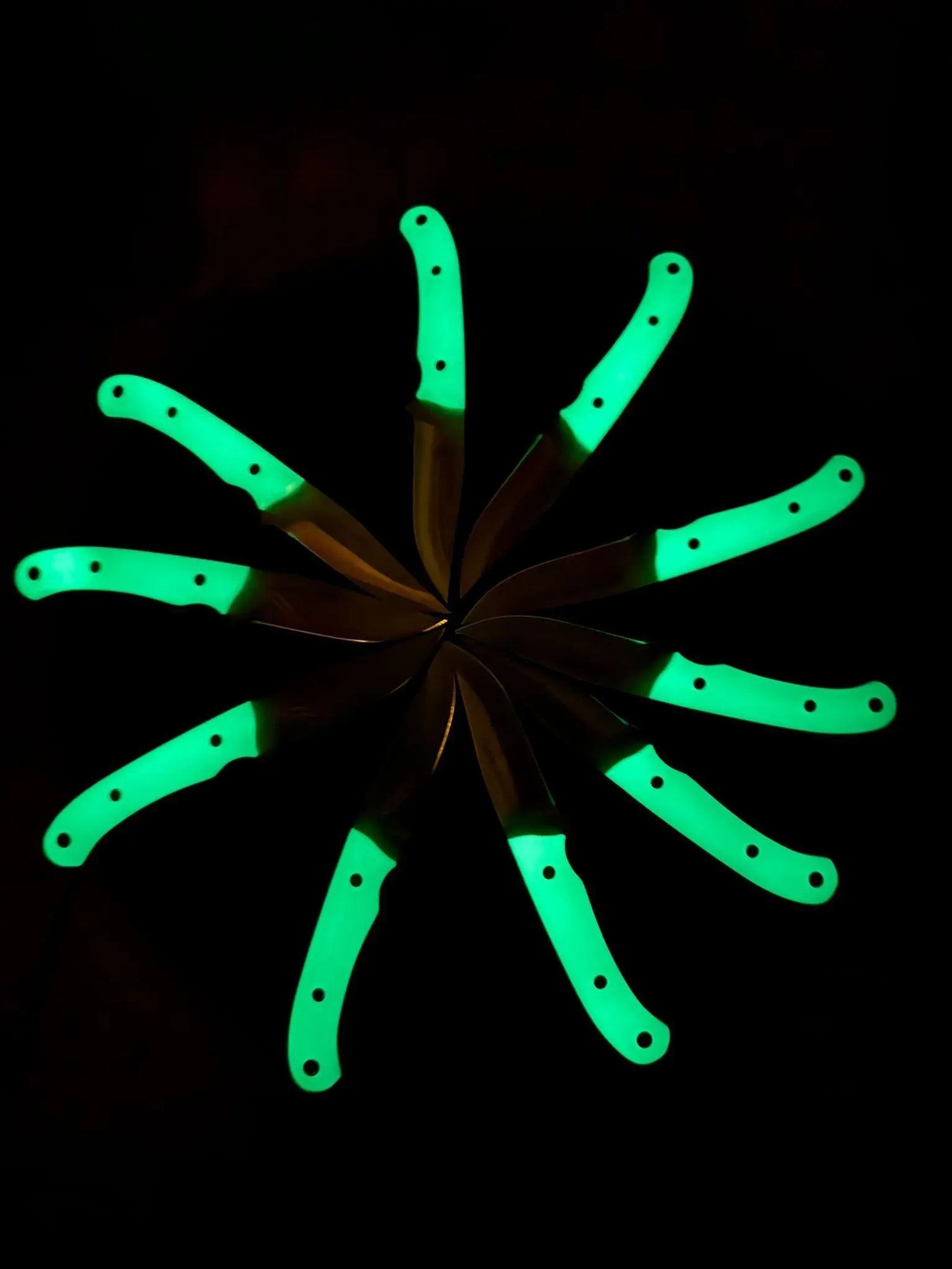 PUMA IP catamount nachleuchtend