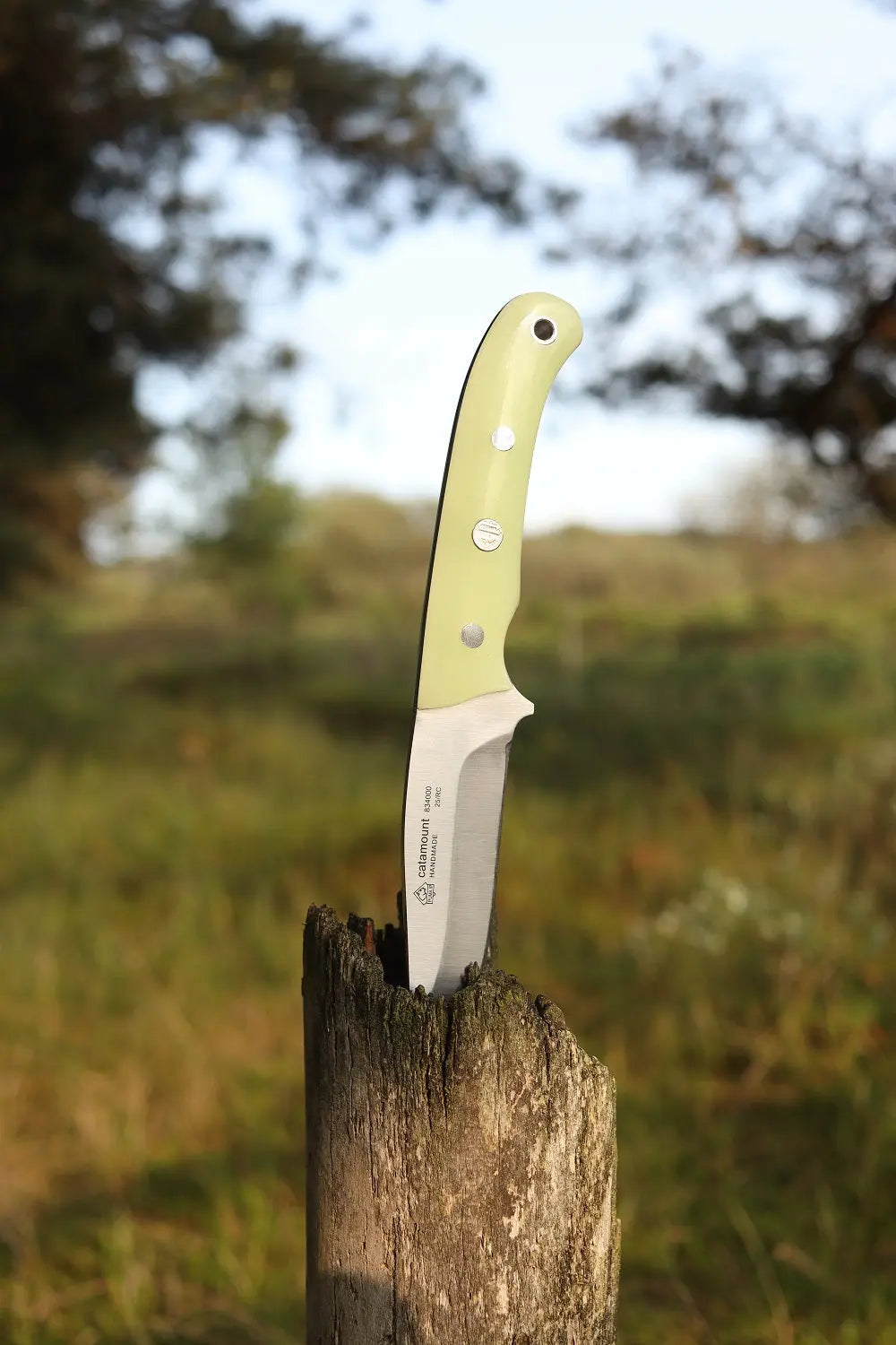 PUMA IP catamount nachleuchtend