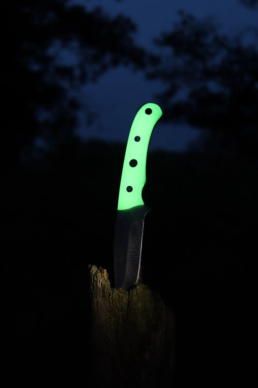 PUMA IP catamount nachleuchtend