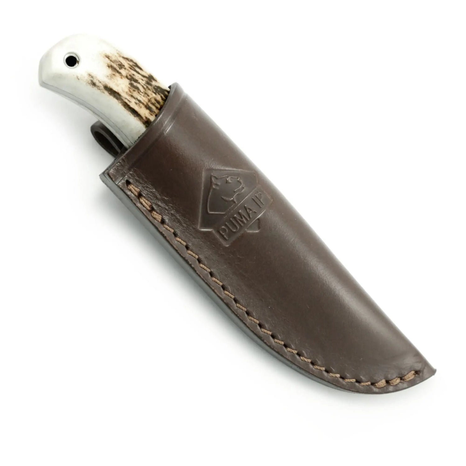 PUMA IP ela stag PUMA IP