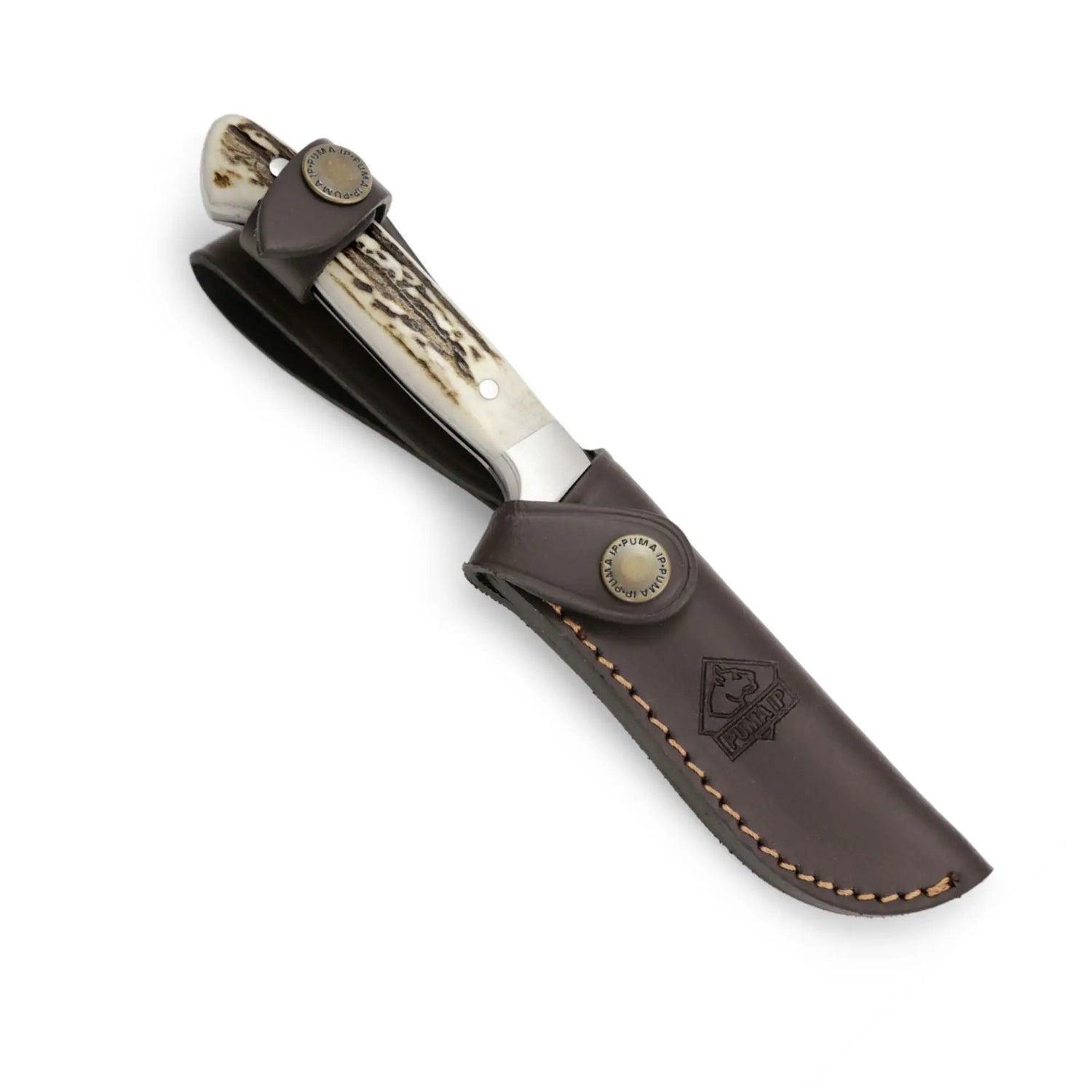 PUMA IP pal 240, Hirschhorn PUMA IP