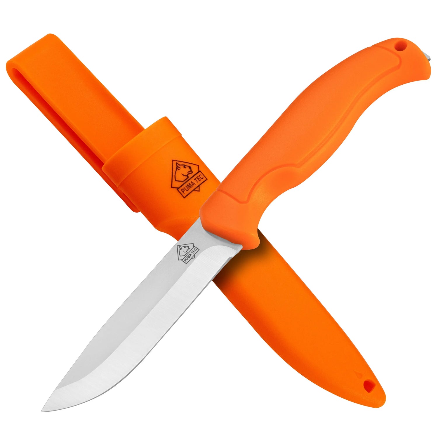 PUMA TEC Rover Blaze Thekendisplay 24er-Pack