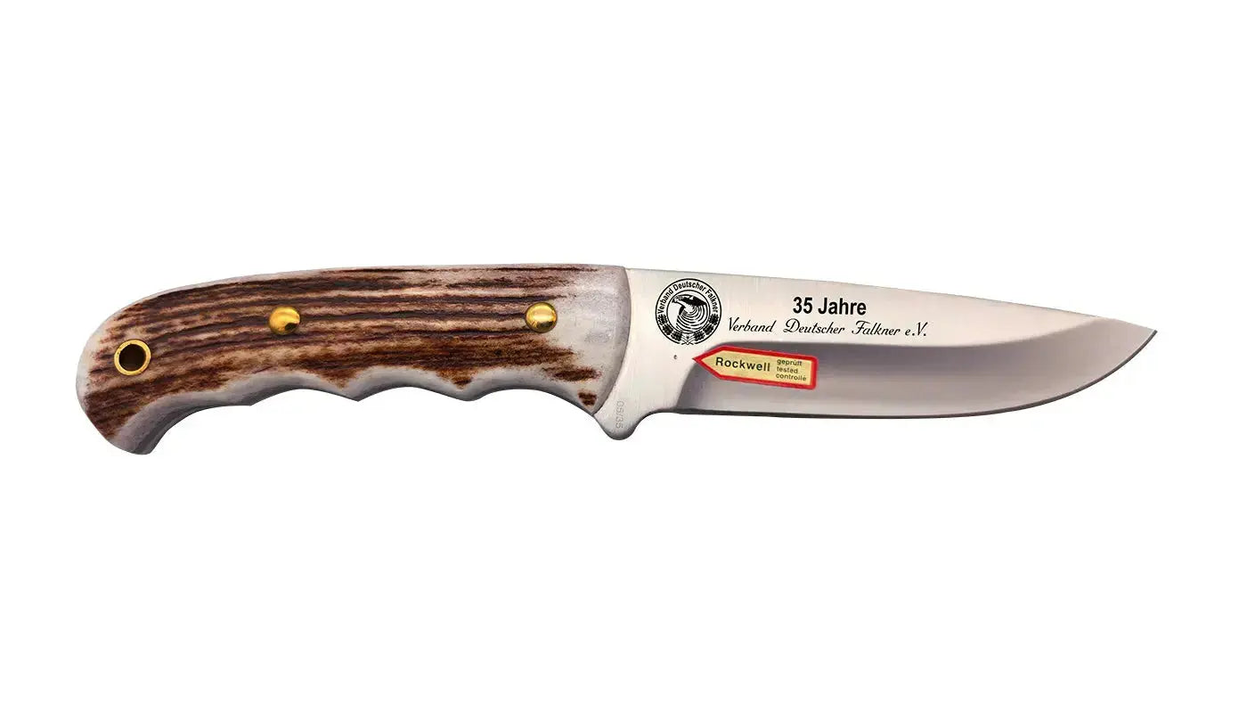 PUMA IP accipiter gentilis PUMA IP
