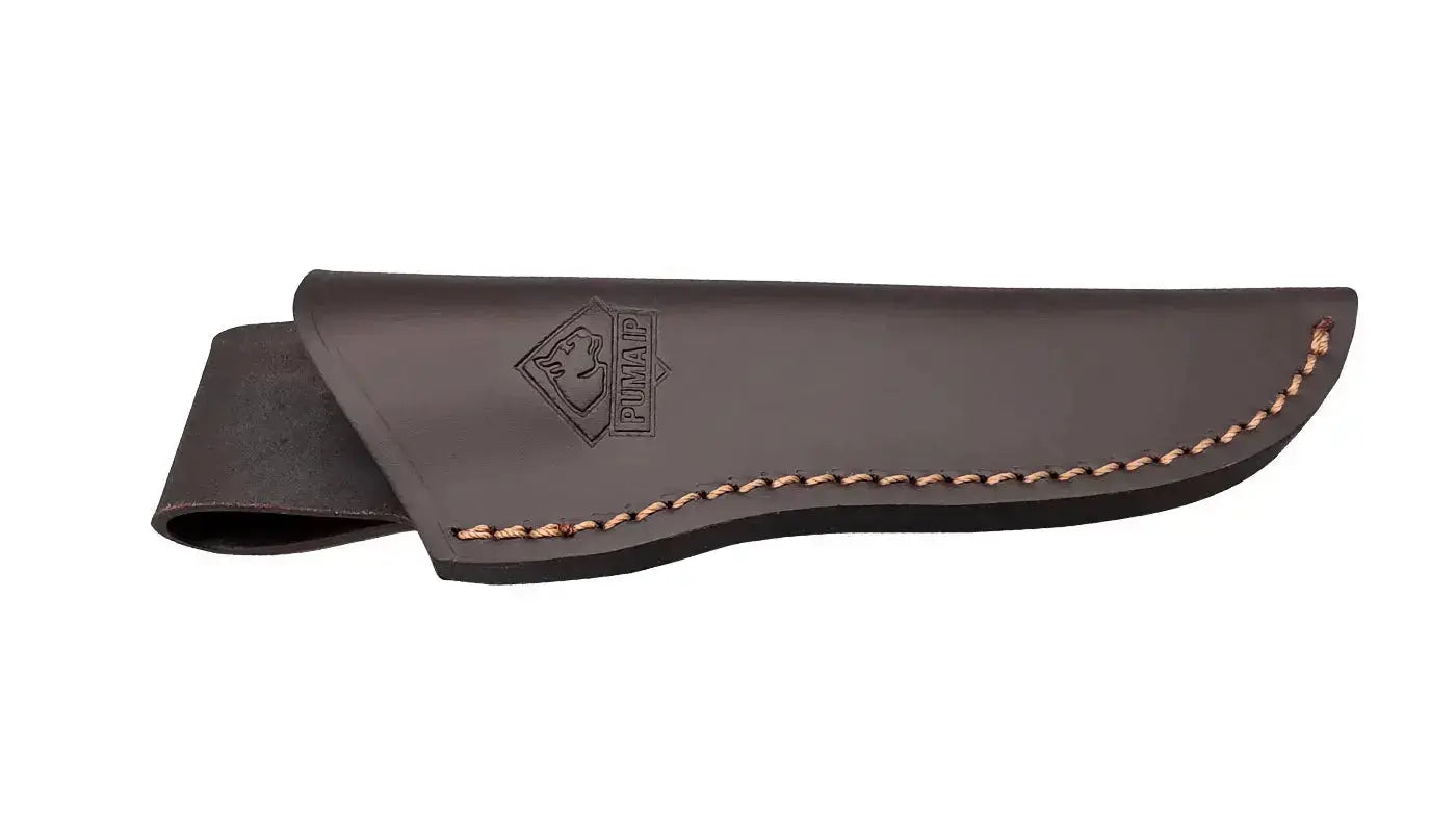 PUMA IP accipiter gentilis PUMA IP