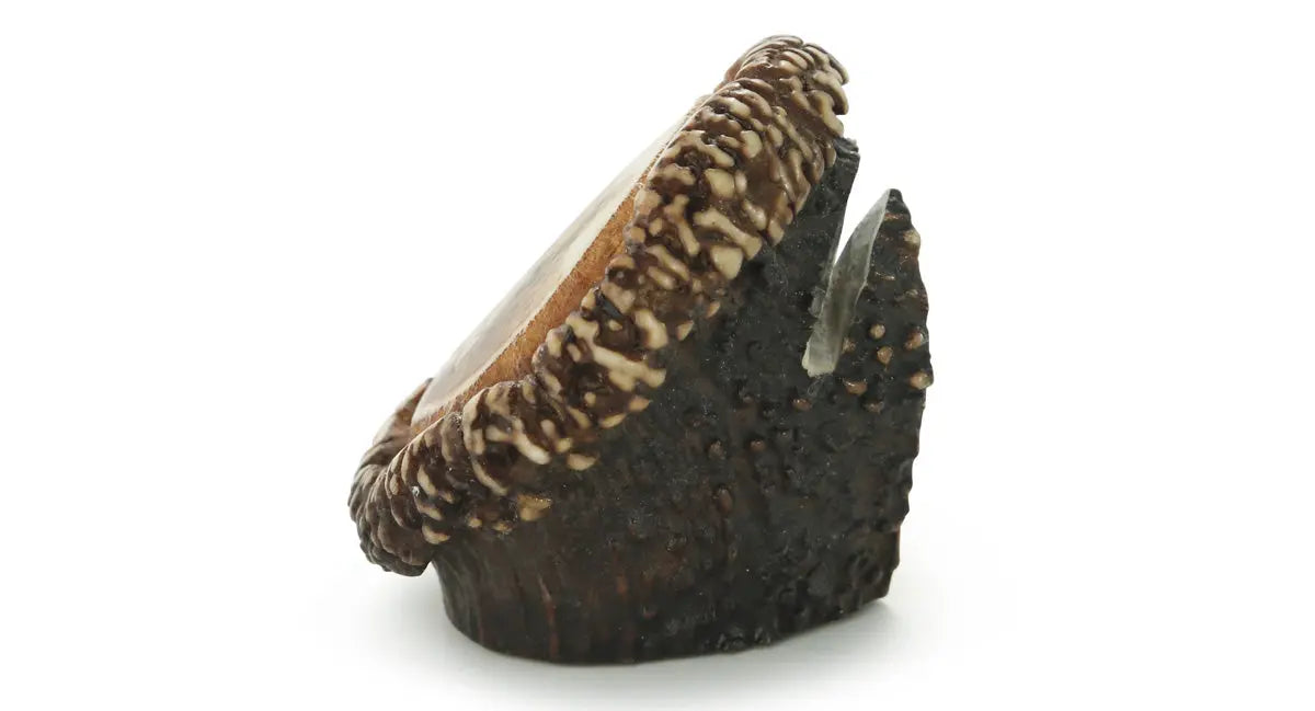 PUMA Messerständer, PUMA I, Unikat