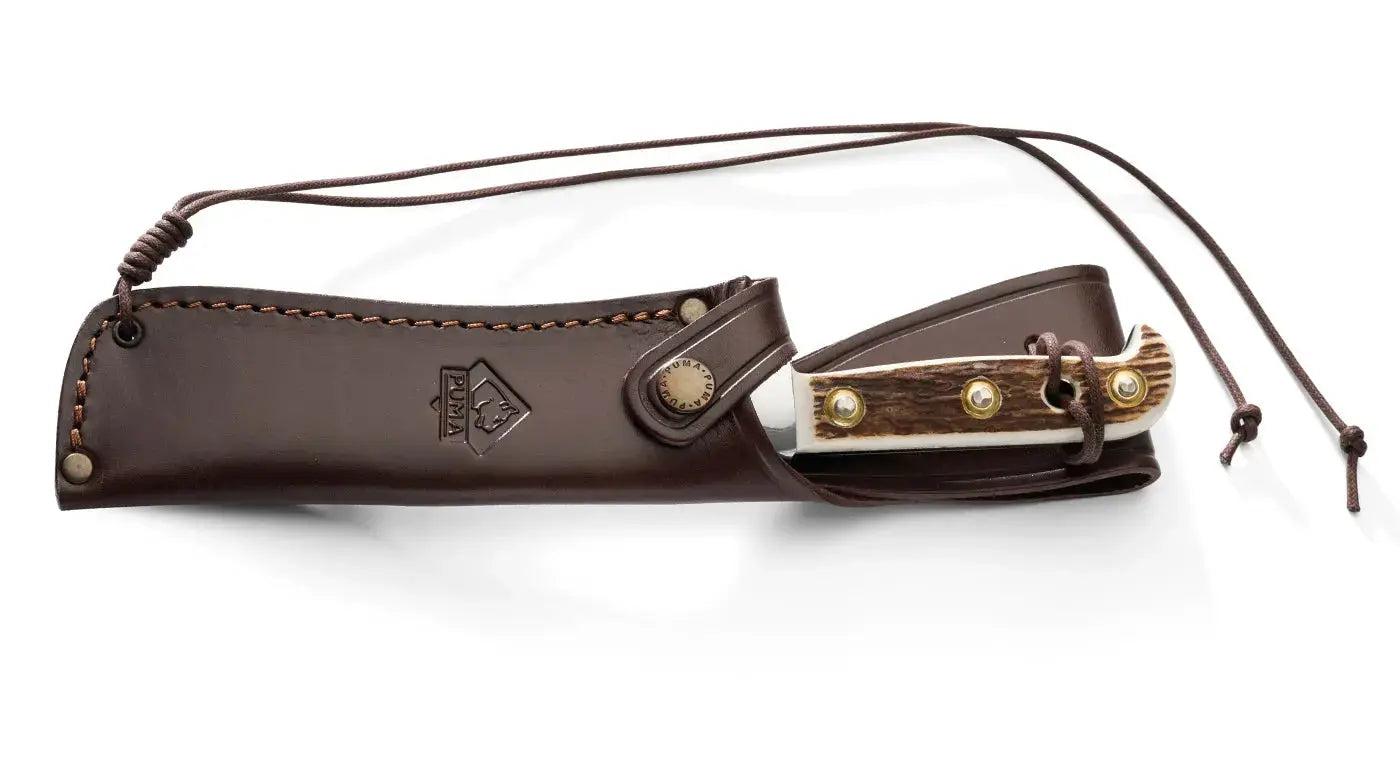 Hunting knife outdoor knife 116375 PUMA white hunter – PUMA GmbH
