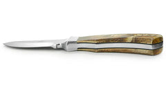 PUMA Löwen und Kaffernbüffel Unikat