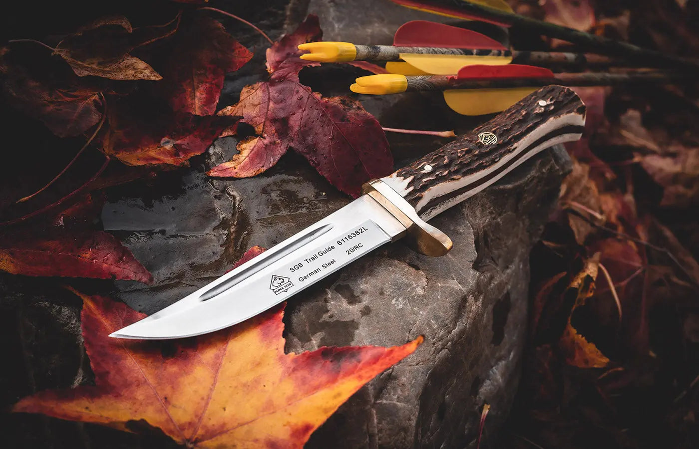 PUMA SGB trail guide, Stag