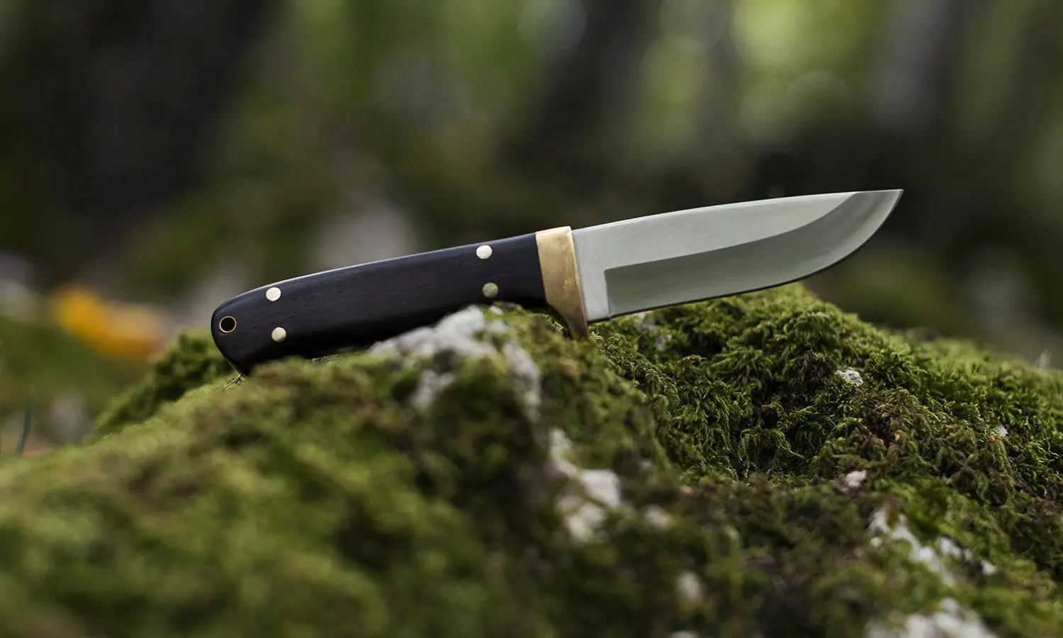 Puma SGB elk hunter, Jacaranda-Holz