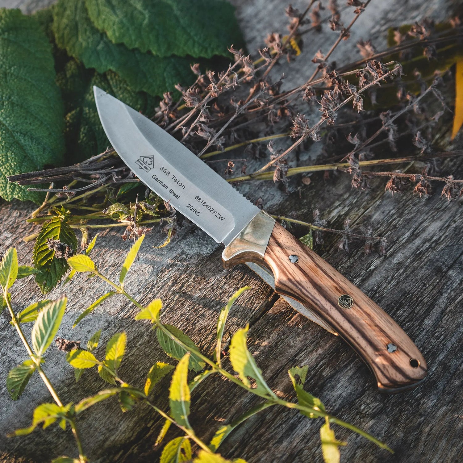 PUMA SGB teton, Zebra-Holz