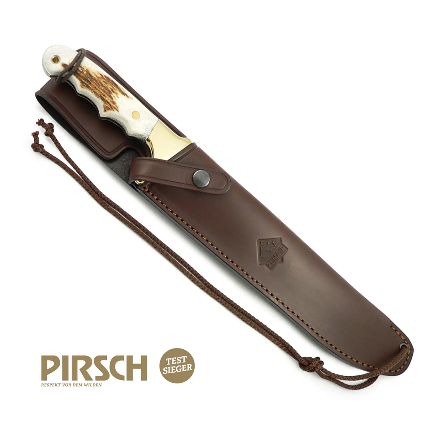 PUMA IP longhorn, stag