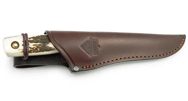 PUMA IP damwild, stag