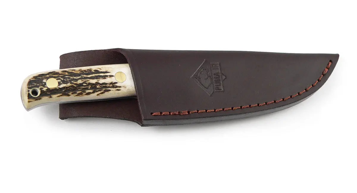 PUMA IP cantabo, stag