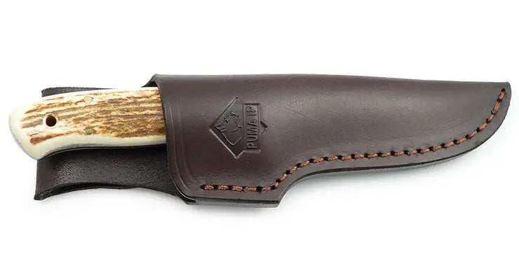 PUMA IP elk hunter, stag