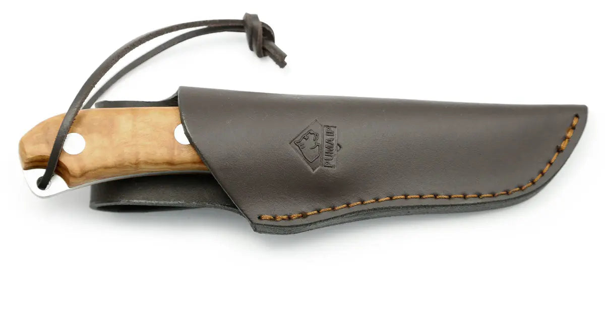 PUMA IP granada olive