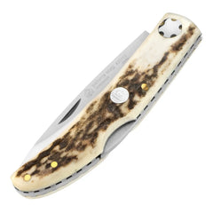 PUMA IP paloma stag PUMA IP