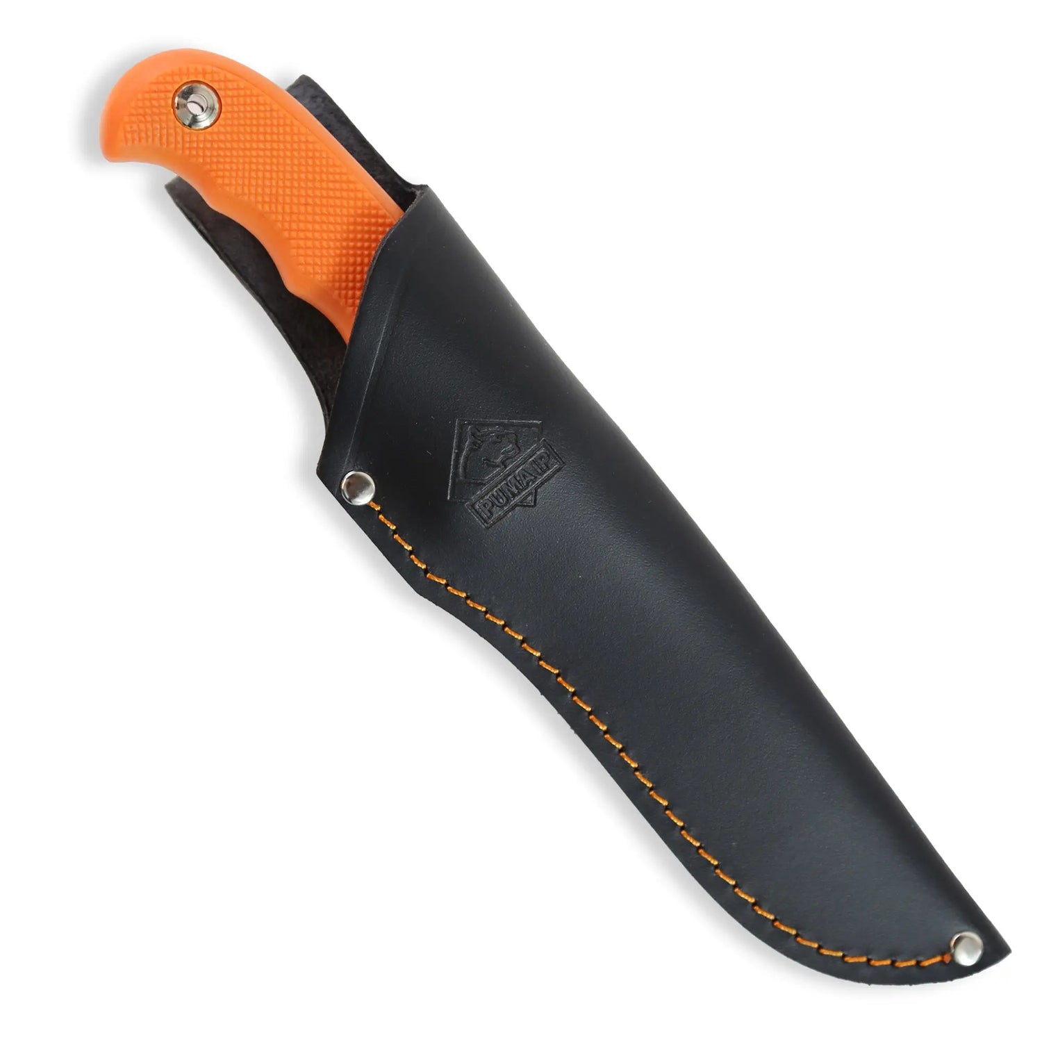 PUMA IP barracuda, orange - PUMA GmbH IP Solingen