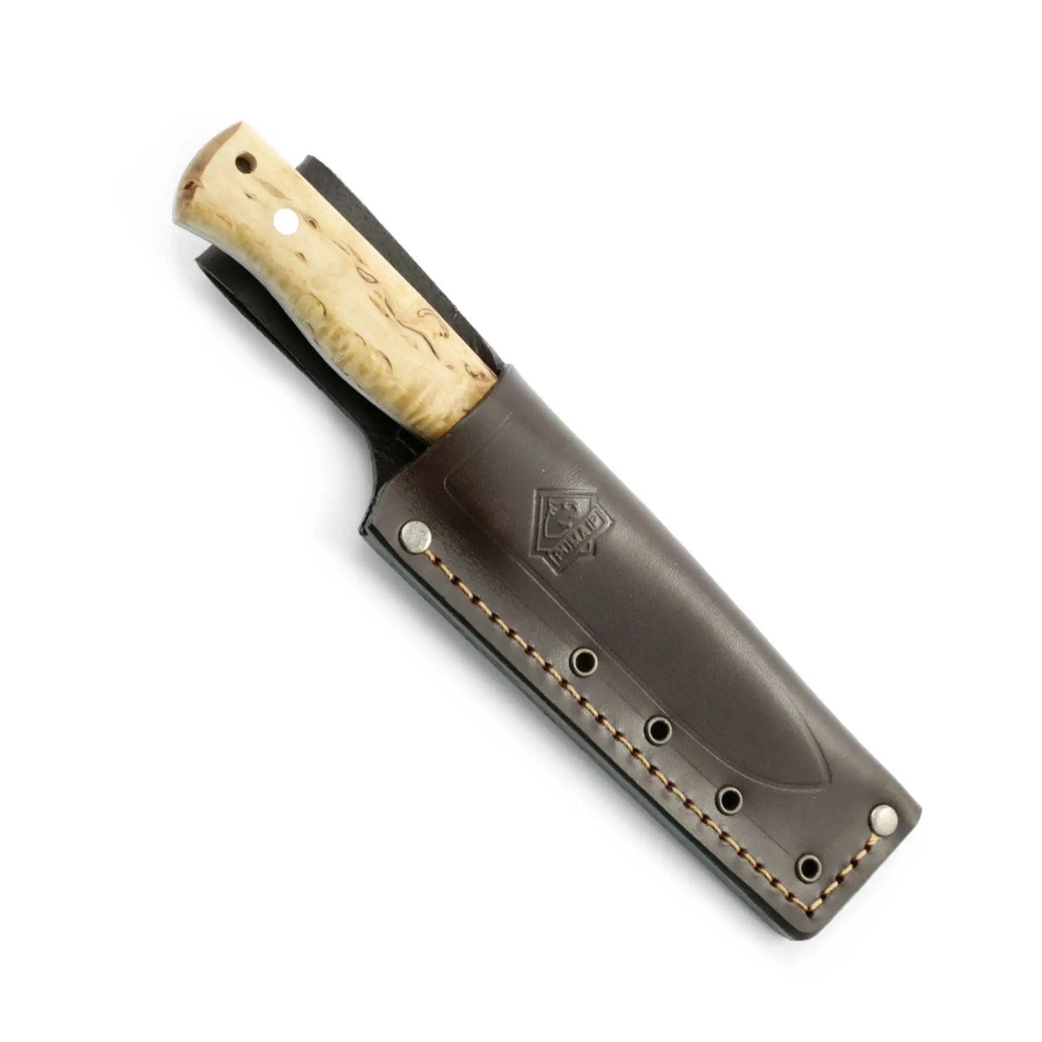 PUMA IP beaver PUMA IP