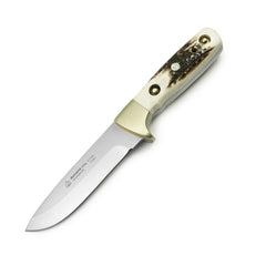 PUMA IP damwild, stag PUMA IP