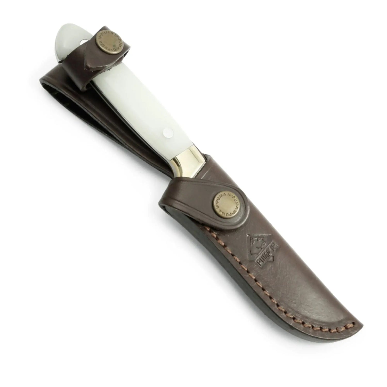 PUMA IP habicht, fluoreszierend PUMA IP