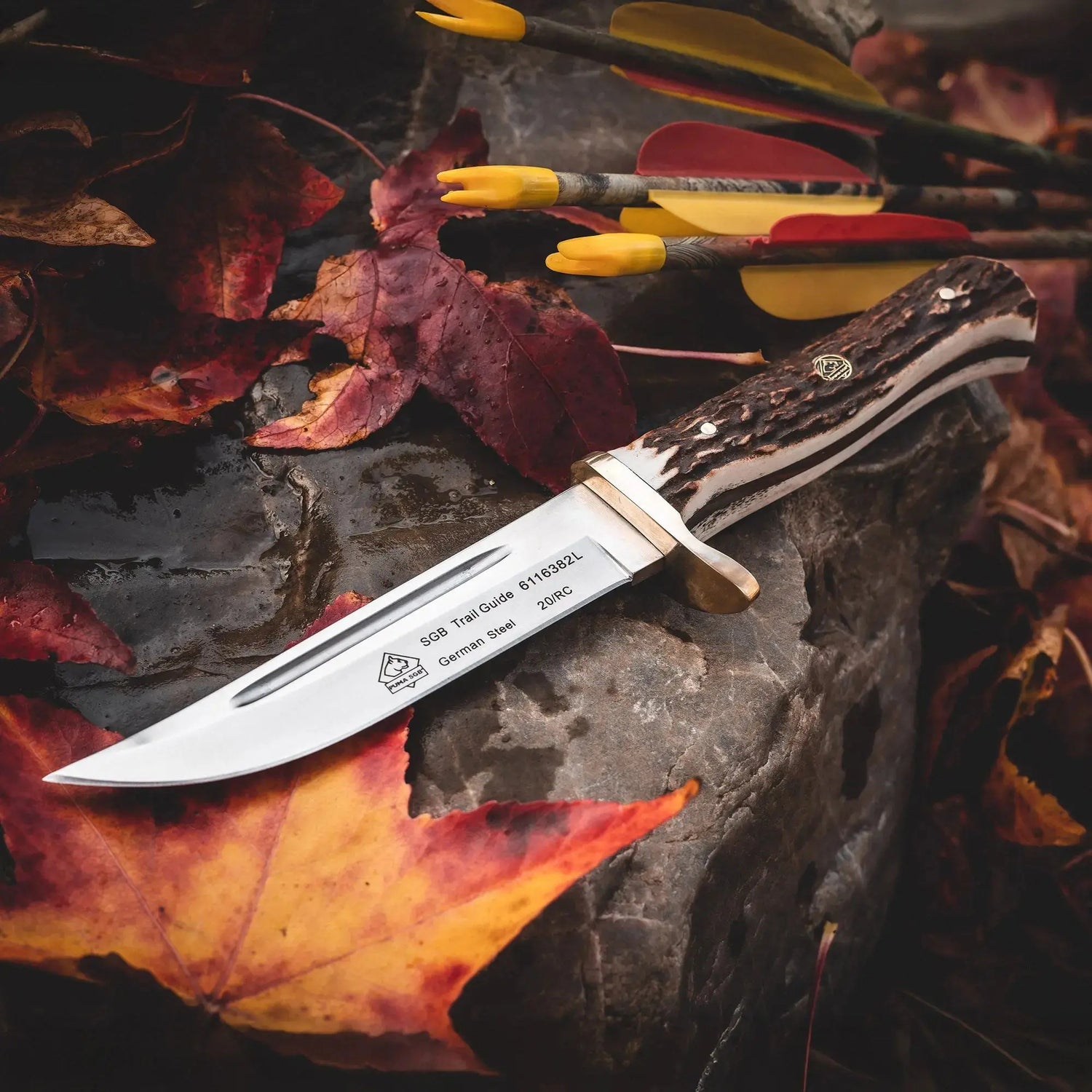 PUMA SGB trail guide, Stag PUMA SGB (USA)