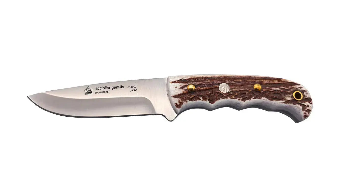 PUMA IP accipiter gentilis PUMA IP