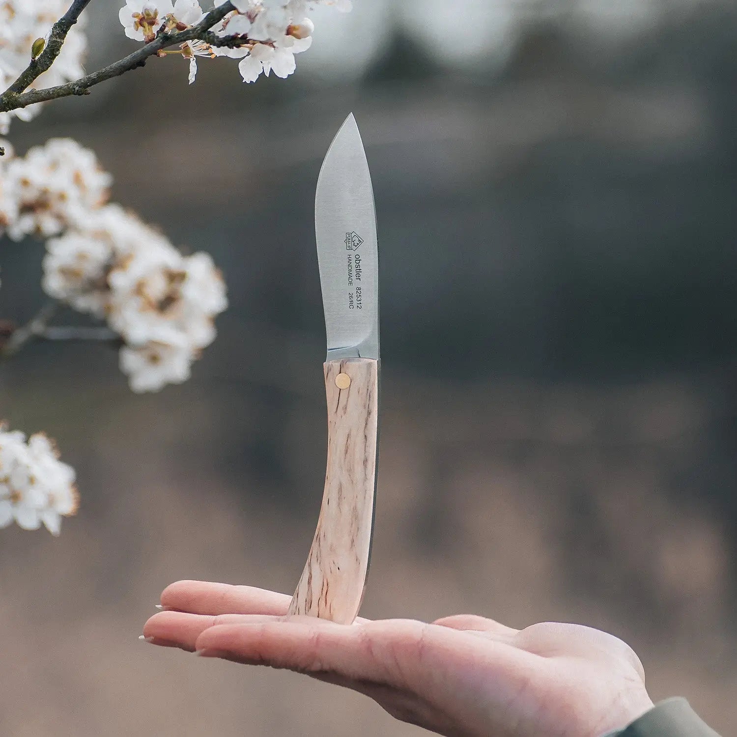 PUMA IP obstler Birkenholz - PUMA GmbH IP Solingen