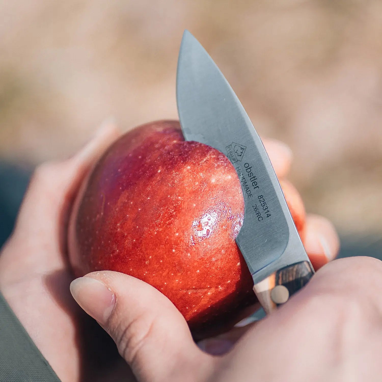 PUMA IP Obstler Bog Oak