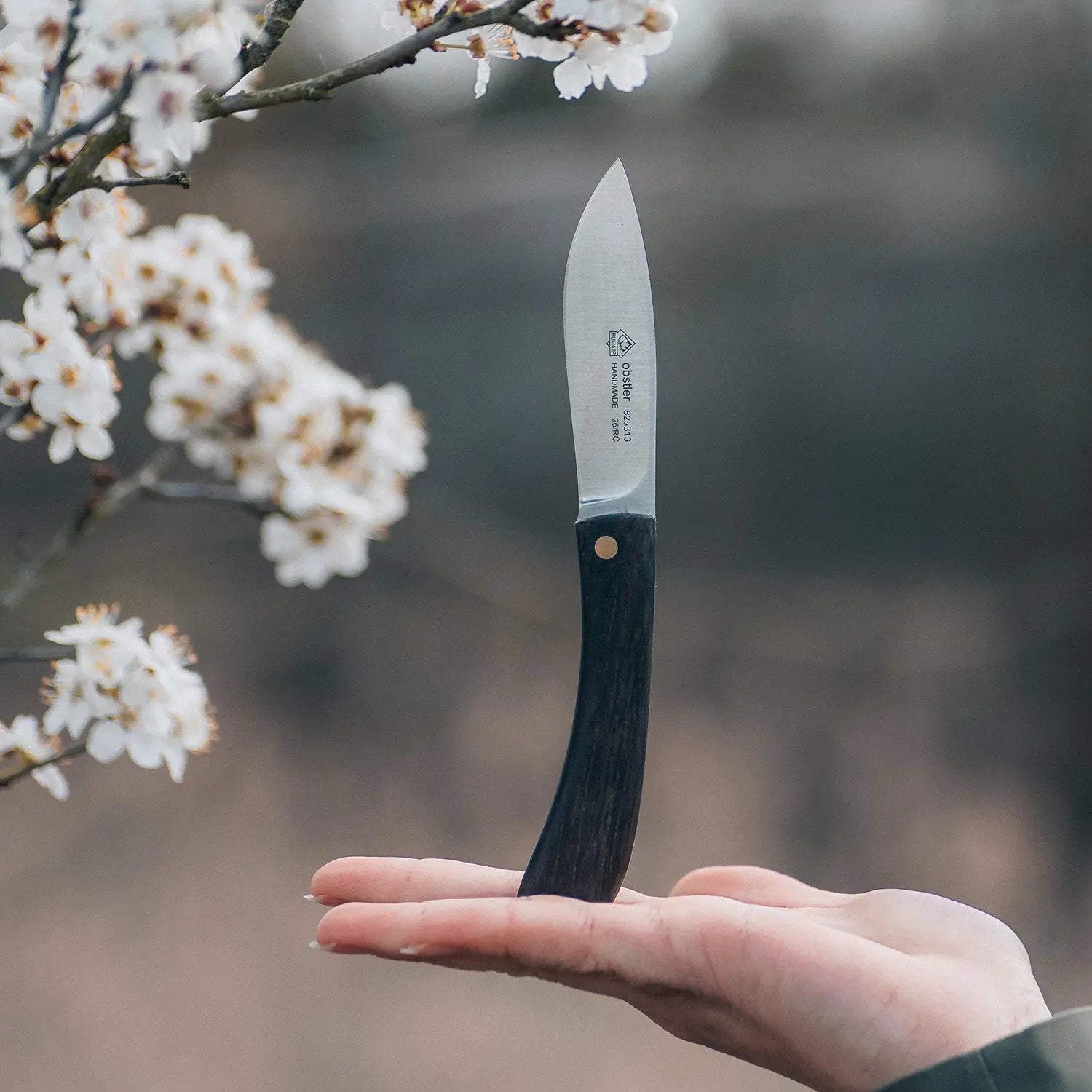 PUMA IP Obstler Bog Oak