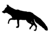 Fox Motiv
